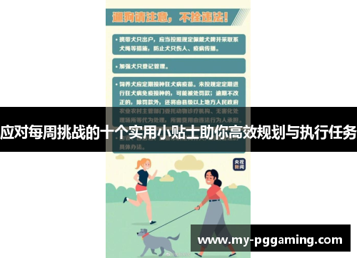 应对每周挑战的十个实用小贴士助你高效规划与执行任务