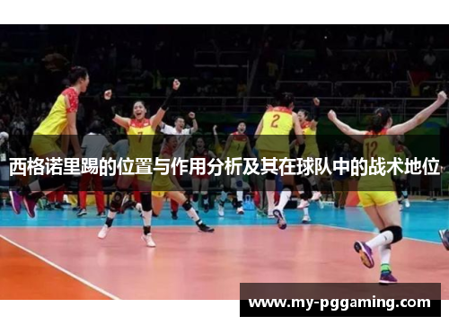 西格诺里踢的位置与作用分析及其在球队中的战术地位