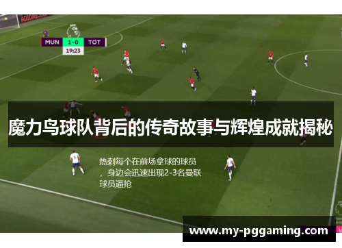 魔力鸟球队背后的传奇故事与辉煌成就揭秘